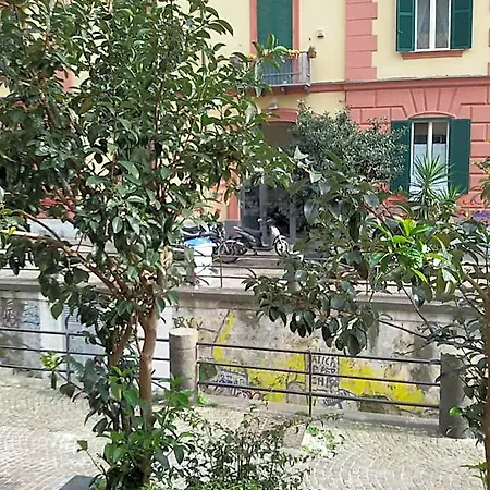 At Lettieri 4*
